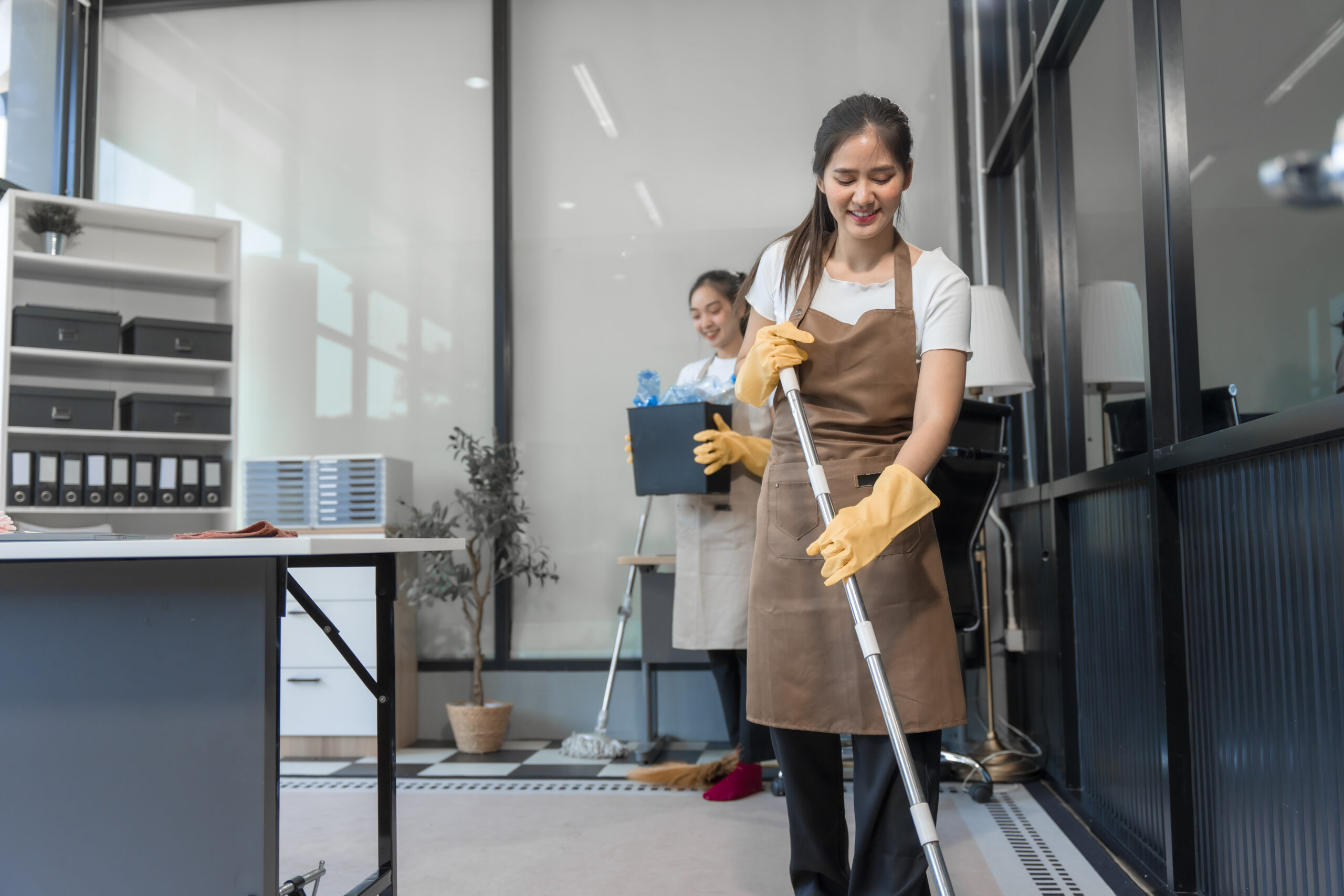 Productos De Limpieza Profesionales Vs Domésticos: Diferencias Reales